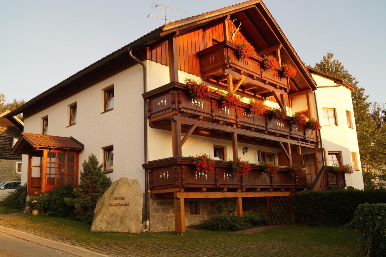 Haus Haidweg - Ferienwohnungen In Haidmuehle Im Dreilaendereck De-Cz-At Екстериор снимка